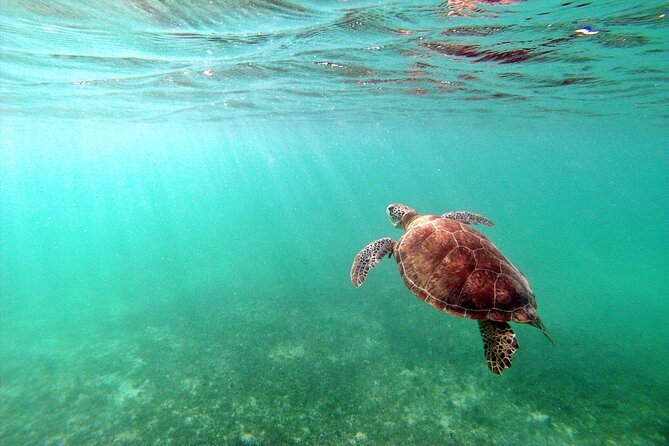 Tulum Ruins, Turtle Sighting and Underground Caves - Stop 3: Puerto Aventuras underground caves and cenote swimming