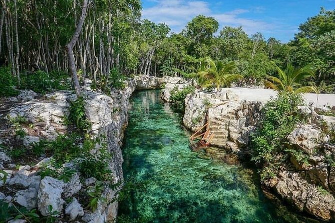Tulum Ruins visit cenotes house turtle and Sculpture Come to Light - Lunch in the Mayan zone: good food, separate drinks