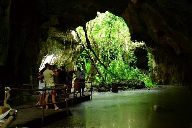 Turtles and Cenote from Riviera Maya - Guides, atmosphere, and how to get the best photos