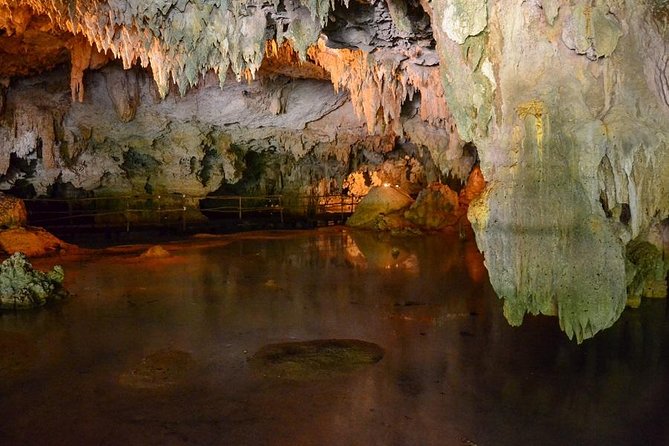 Turtles and Cenote from Riviera Maya - Who this tour fits best in your Riviera Maya plan