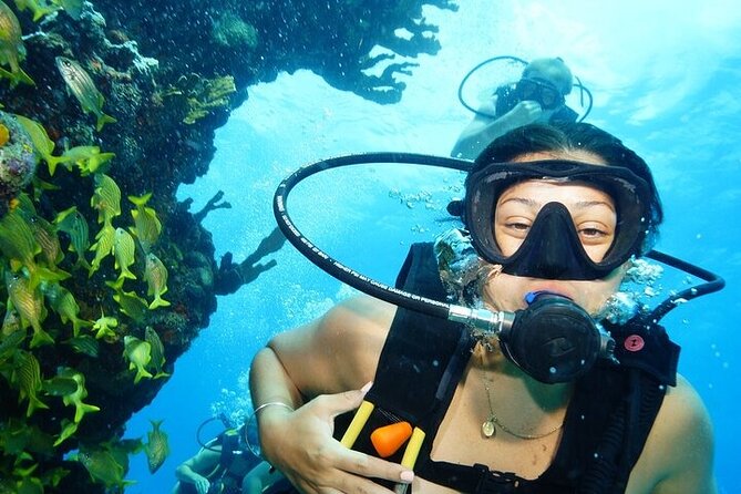 Two Dives and Class for Begginers Divers in Cancun - Key things that make this Cancún course worth your time