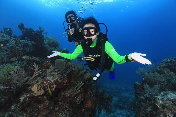 Two Dives and Class for Begginers Divers in Cancun - Equipment included: less hassle, better fit focus