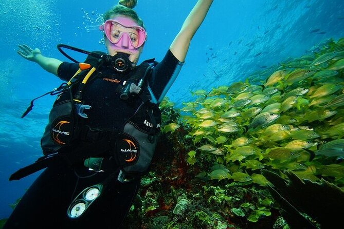 Two Dives and Class for Begginers Divers in Cancun - Group size, guide attention, and why max 4 changes everything