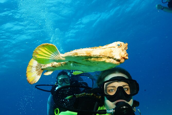 Two Dives and Class for Begginers Divers in Cancun - Pool training: where you build confidence without the pressure