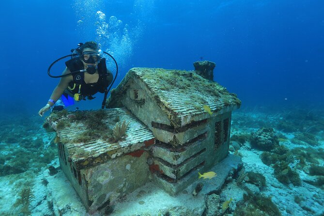 Two Tanks Scuba Diving for Beginners in Cancun - What happens in the morning: theory, pool skills, then the boat