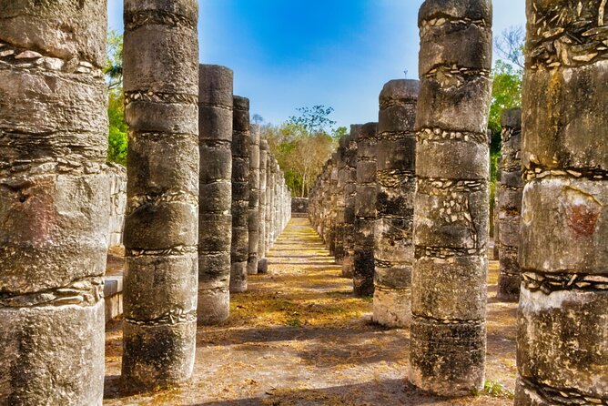 Ultimate Chichen-Itza Cenote Swim & Valladolid from Cancun - Cenote Selva Maya swim: the part most people remember