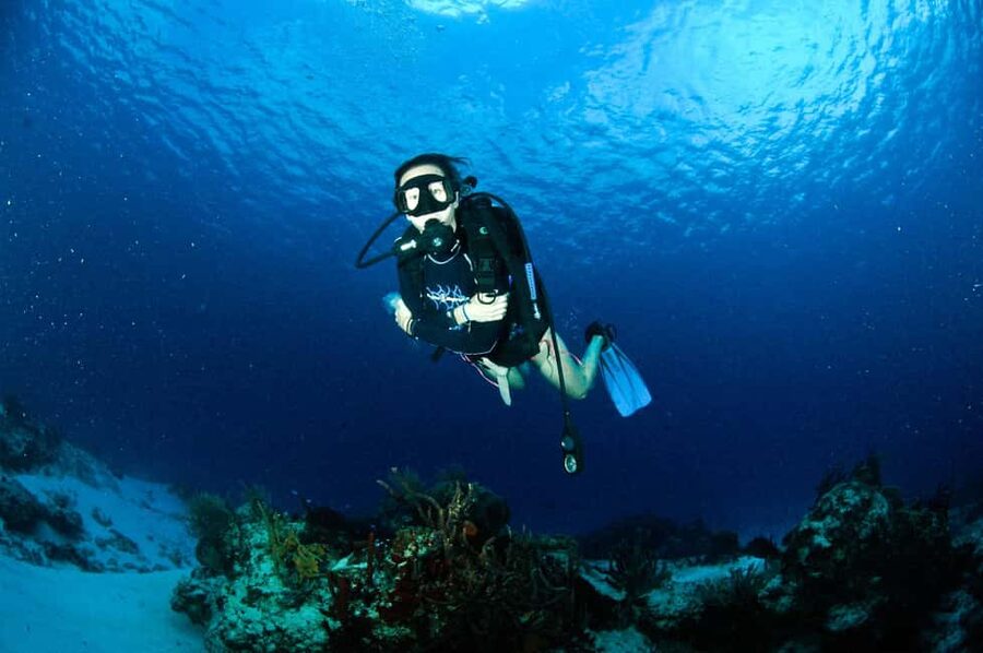 Underwater Museum Musa : SCUBA DIVING FOR BEGINNERS - Key things that make this tour worth your attention