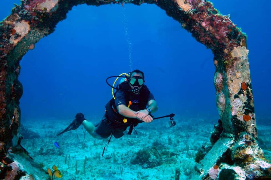 Underwater Museum Musa : SCUBA DIVING FOR BEGINNERS - The pre-session lesson at MUSA: theory plus real underwater practice
