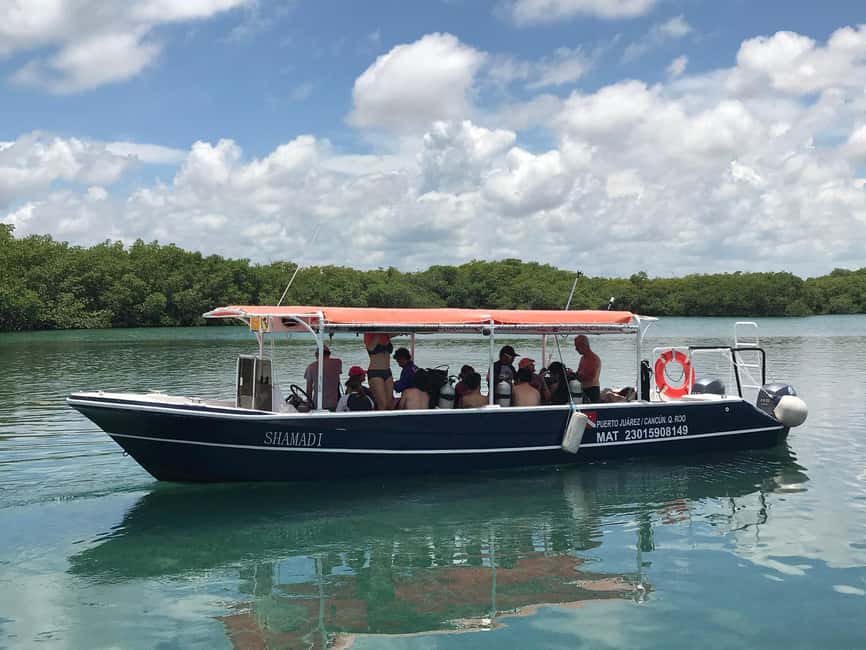 Underwater Museum Musa : SCUBA DIVING FOR BEGINNERS - Your two underwater sessions: MUSA plus a reef around Cancun or Isla Mujeres