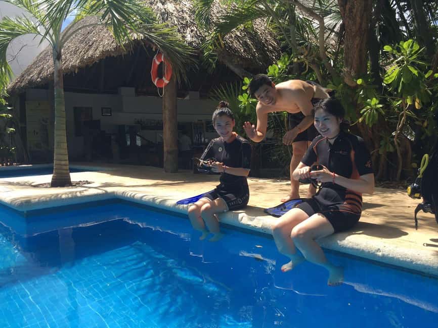 Underwater Museum Musa : SCUBA DIVING FOR BEGINNERS - What you’ll see under the surface, and how to enjoy it without getting overwhelmed