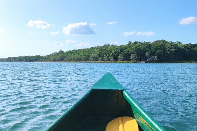 Unforgettable Journey: Coba, Monkey Reserve, and Mayan Cenote - Should You Book This Coba, Monkey Reserve, and Cenote Day?