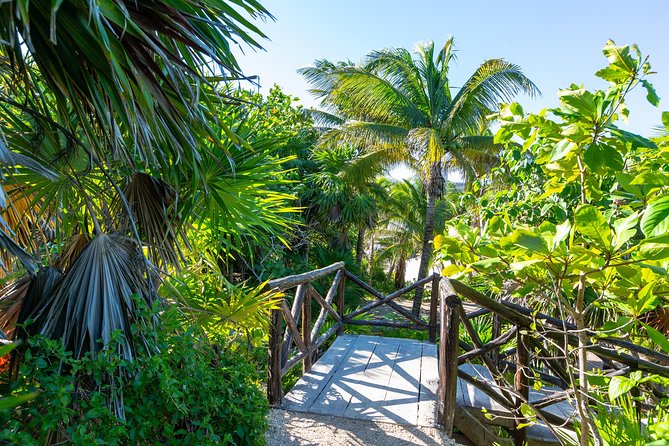 Viator Exclusive: Tulum Ruins, Reef Snorkeling, Cenote and Caves - Reef snorkeling from Playa Maya: gear, boat time, and how to handle crowds and current