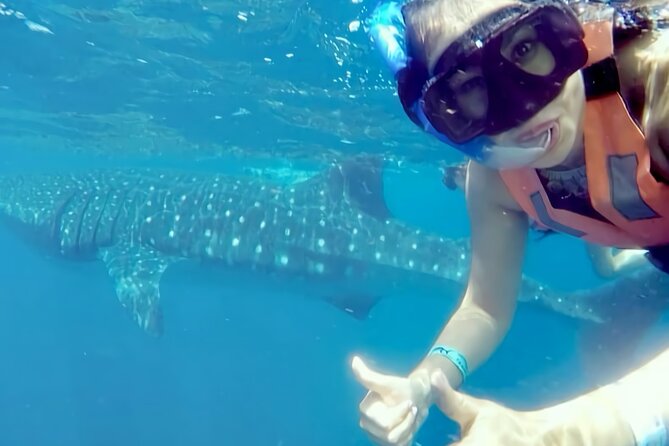 Whale Shark Adventure in Isla Mujeres and Cancun - What the guide team does (and why it feels “safe”)