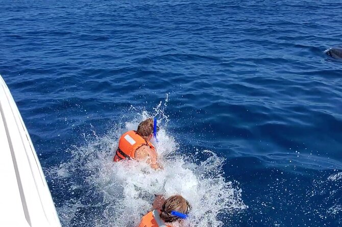 Whale Shark Adventure in Isla Mujeres and Cancun - How much time you actually spend with whale sharks