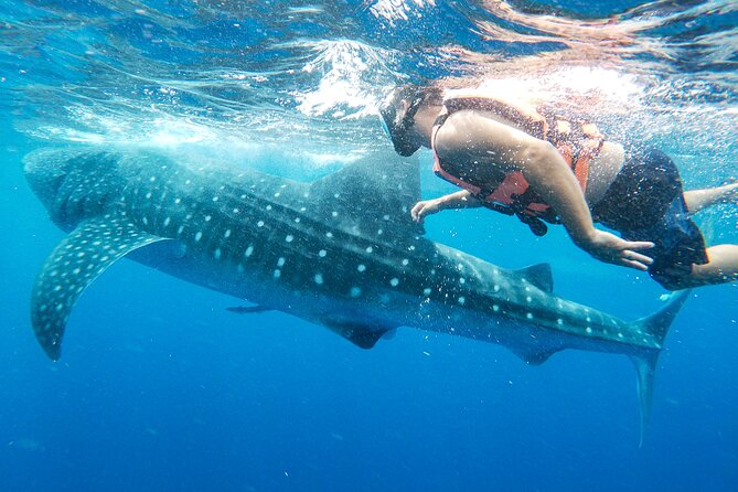Whale Shark Adventure in Isla Mujeres and Cancun - Lunch, ceviche, and included snacks that hit the spot