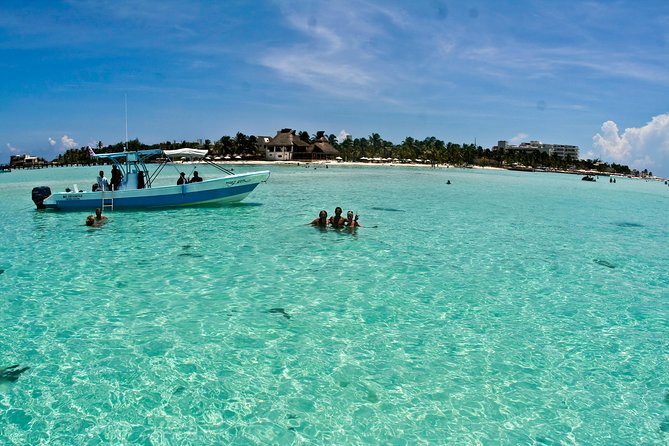 Whale Shark Tour from Cancun, Playa del Carmen, Tulum and Riviera Maya - Playa Norte on Isla Mujeres: Lunch, Shallow Water, and the Best Kind of Reset