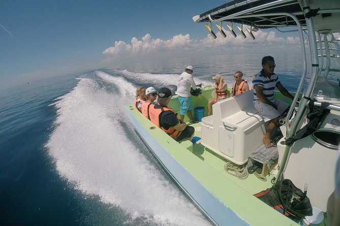 Whale Shark Tour from Cancun, Playa del Carmen, Tulum and Riviera Maya - Who Should Book This Whale Shark Tour, and Who Might Skip It