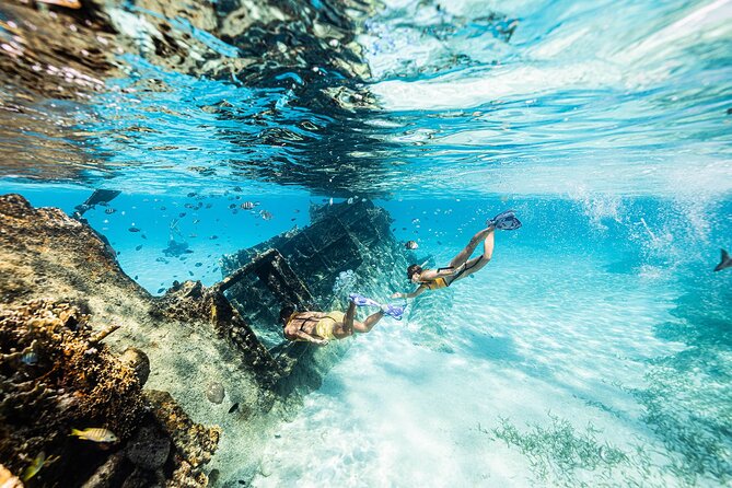 With Turtles, Shipwreck, Cenote, and Reef and Transport Included - Stop 1: the shallow reef snorkeling that builds confidence