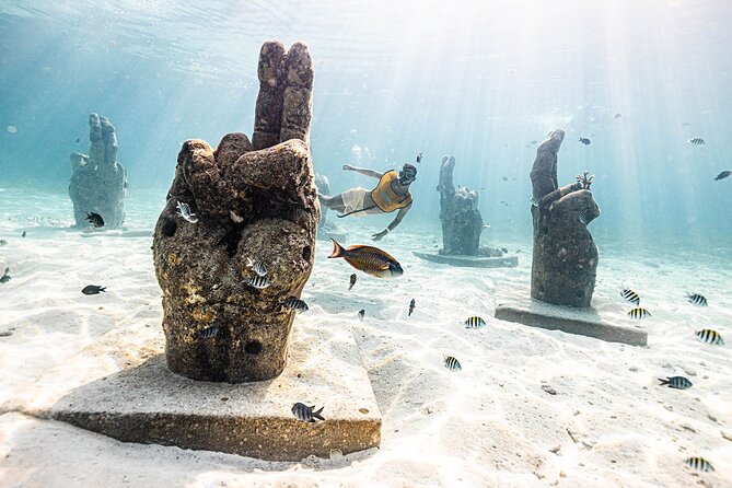 With Turtles, Shipwreck, Cenote, and Reef and Transport Included - The cenote and underwater museum stop: why it feels different
