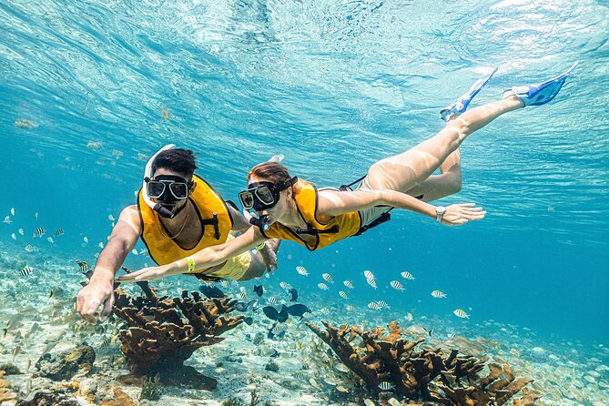 With Turtles, Shipwreck, Cenote, and Reef and Transport Included - Shipwreck snorkeling: the thrill factor, with real safety support