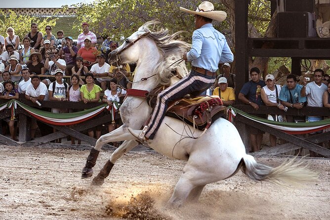 Xcaret Park Day Tour & Night Show with Transportation - Why Xcaret fits a Cancun itinerary so well