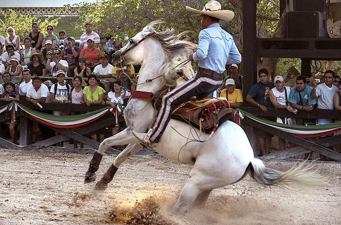 Xcaret Park Day Tour & Night Show with Transportation - Is the $157 price fair? A value breakdown that makes sense