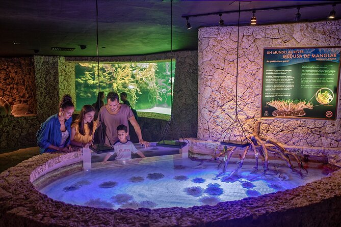 Xcaret Park Day Trip, transportation and Cultural Night Show - Inside Xcaret: how the water activities shape the whole day