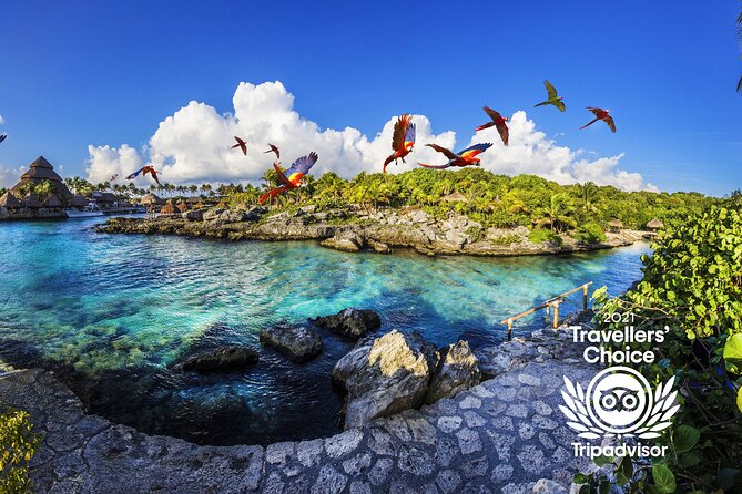 Xcaret Park Day Trip, transportation and Cultural Night Show - Flora, fauna, and the coral reef aquarium: nature breaks the theme-park vibe