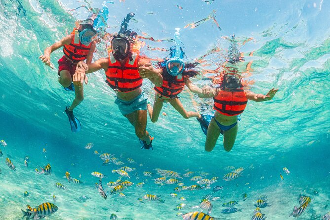 Xcaret Park Day Trip, transportation and Cultural Night Show - Xcaret Plus upgrade: lunch, snorkeling gear, and Plus Area convenience
