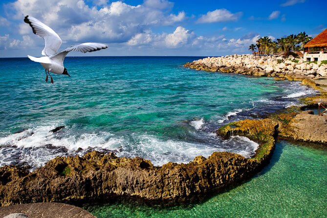 Xcaret Park Plus Tour! Nature, Culture and Nightshow from Cancun - Animal attractions that are actually included