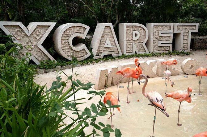 Xcaret Plus Full Day Tour - Area Plus makes the “wet and dry” problem manageable