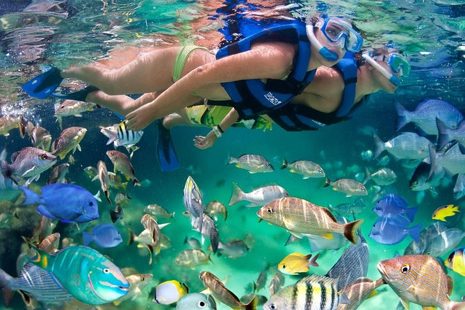 Xel ha All Inclusive - Key Highlights Worth Planning For