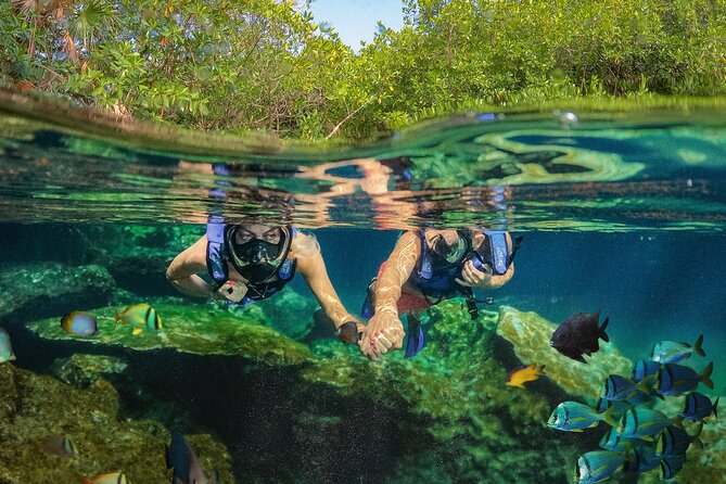 Xel-Ha Park Admission Tickets - Entering Xel-Ha: Timing Your Day Like a Pro