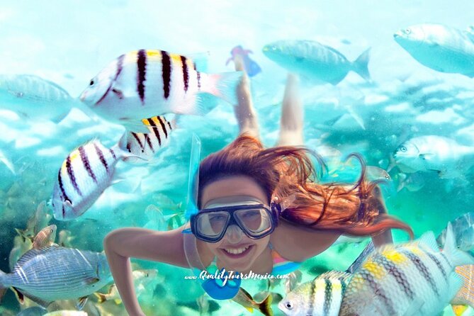 Xelha water park with transportation - What I recommend you do before you go (tiny prep, big payoff)