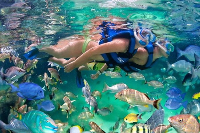 Xikbal Eco Park All Inclusive - Entering Xikbal Eco Park in Tres Reyes: Trails, Flora, and Cenote Water