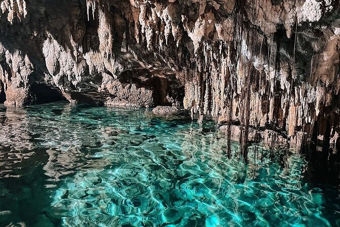 Zapote Cenotes Adventure Tour Prehistoric Park - Price and value: why $142 can feel fair